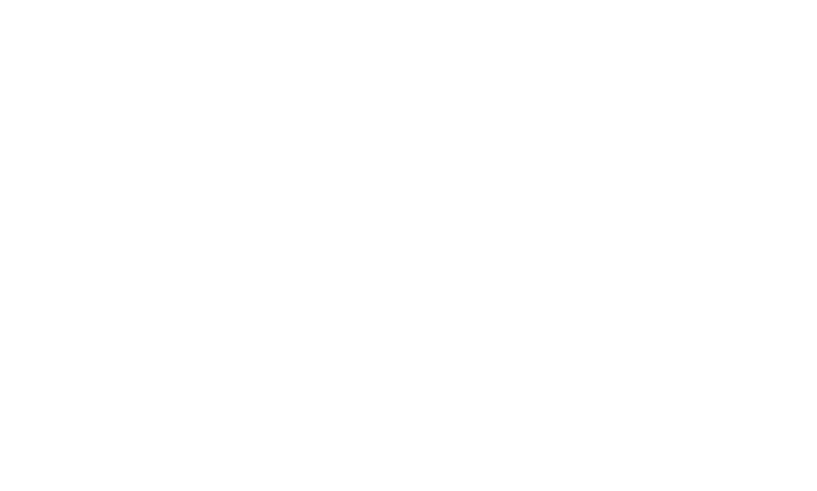 Meet the Artist